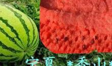 青海浪山最新吃瓜爆料,揭秘神秘事件背后的真相