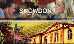 斯诺顿最新爆料,揭秘美国情报机构惊人内幕