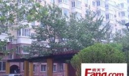 非你莫属南开最新爆料,精彩瞬间与幕后故事大揭秘