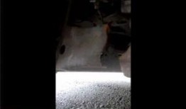 速腾最新爆料视频大全集,揭秘设计亮点与性能升级