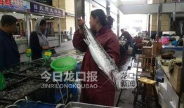 近日海鲜大爆料最新消息,揭秘近期海鲜市场惊人内幕