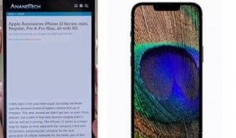 苹果14最新爆料粉色,苹果14粉色版惊艳亮相，引领潮流新风尚