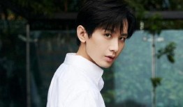 成毅 最新 大爆料,演艺圈背后的惊人真相