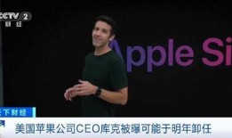 ceo最新爆料人,人生巅峰背后的不为人知故事