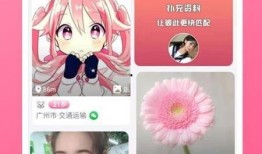 黄金岛爆料最新视频下载,揭秘神秘岛屿探险之旅