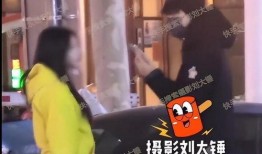 刘大锤最新爆料原版视频,原版视频背后的惊人真相