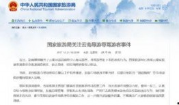 云南导游爆料案件最新,揭开旅游行业潜规则黑幕